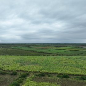 Barseem